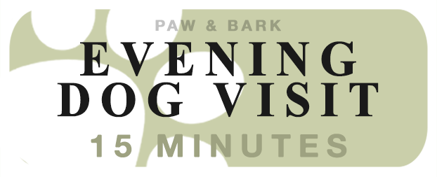 Evening Dog/Puppy Visit (15min)