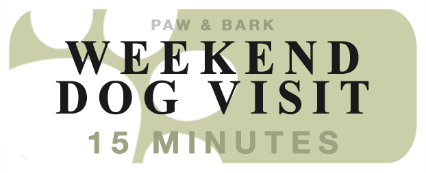 Weekend Dog/Puppy Visit (15min)