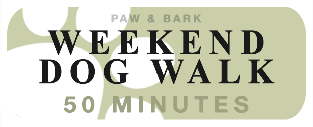 Weekend Solo Dog Walk (50min)