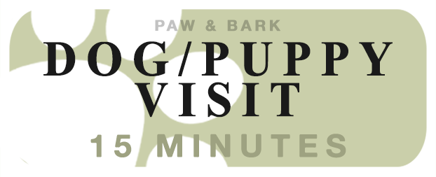 Dog/Puppy Visit (15min)