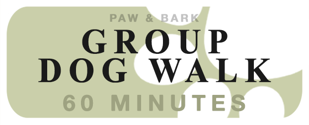 Group Dog Walk (60min)