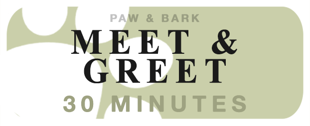 Meet & Greet (30min)