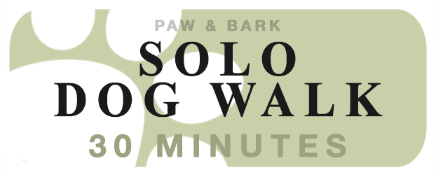 Solo Dog Walk (30min)