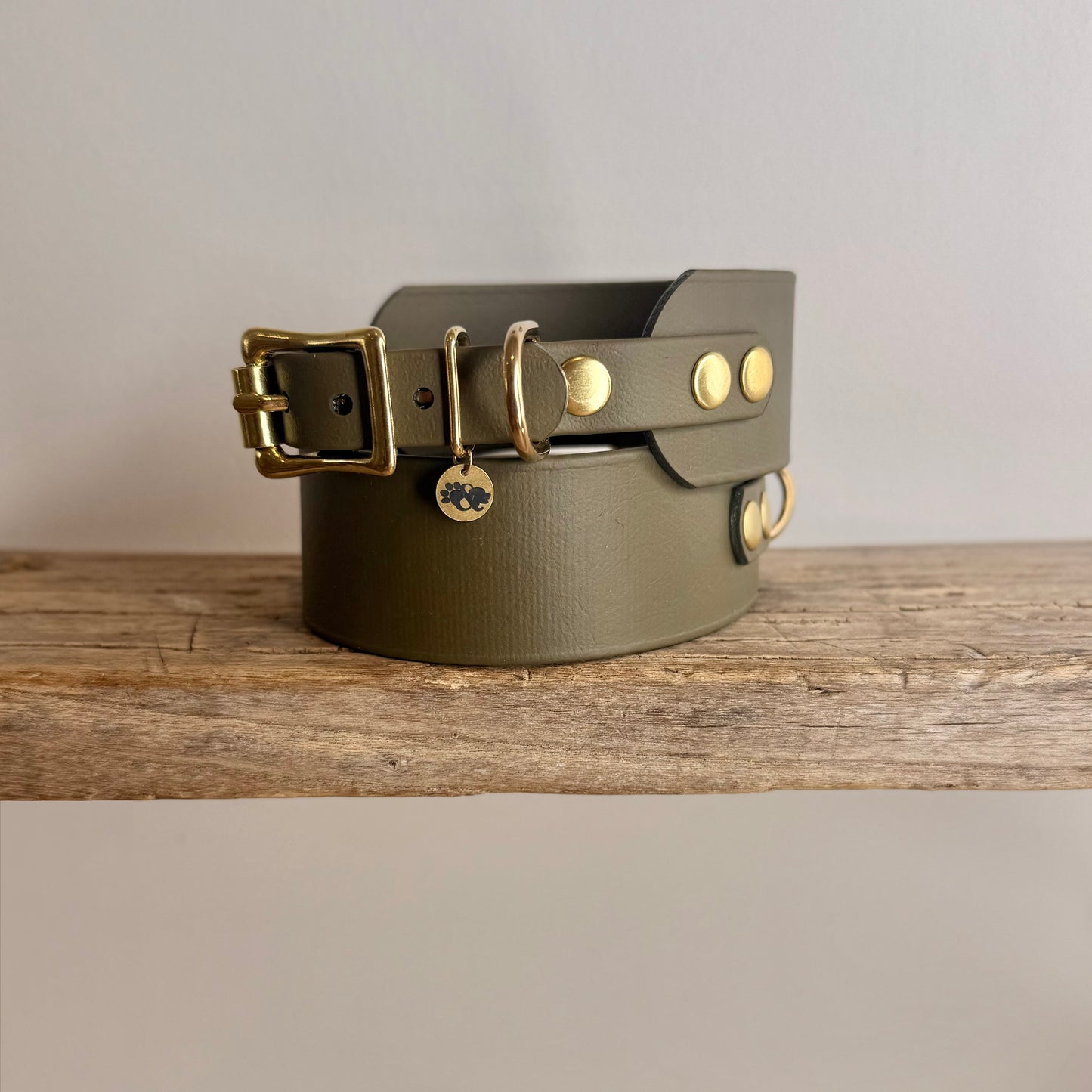 All-Weather BioThane® Sighthound Collar