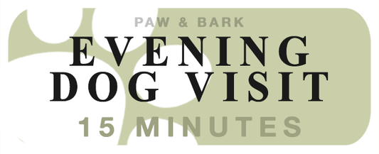 Evening Dog/Puppy Visit (15min)