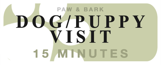 Dog/Puppy Visit (15min)