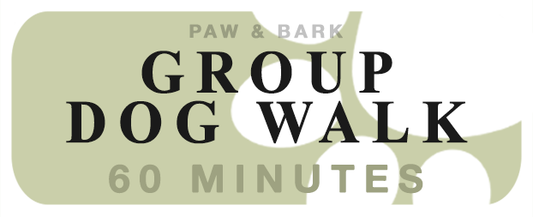 Group Dog Walk (60min)