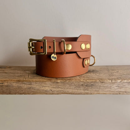 All-Weather BioThane® Sighthound Collar